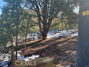 MLS #SR24180523 image #2