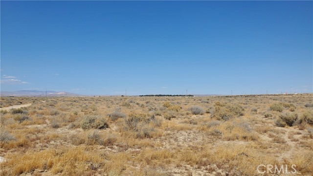 MLS #SR24183333 image #10