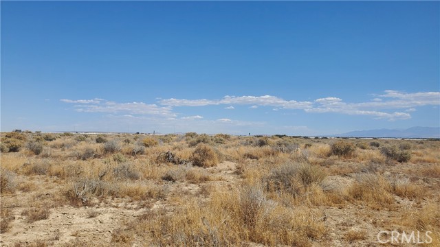 MLS #SR24183333 image #5