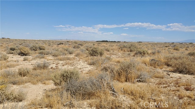 MLS #SR24183333 image #7