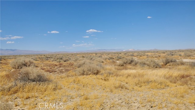 MLS #SR24183361 image #10