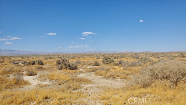 MLS #SR24183361 image #12