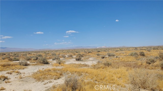 MLS #SR24183361 image #13