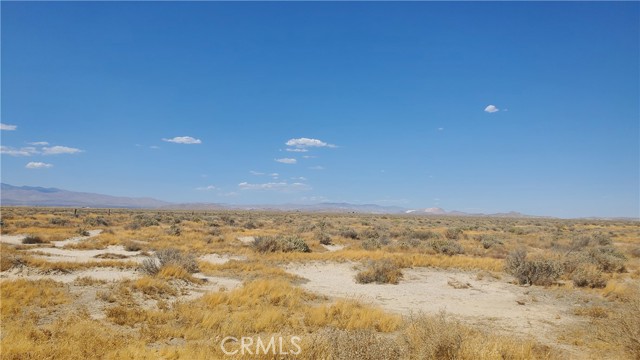 MLS #SR24183361 image #14