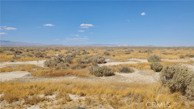 MLS #SR24183361 image #18