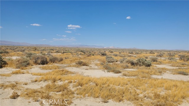 MLS #SR24183361 image #19