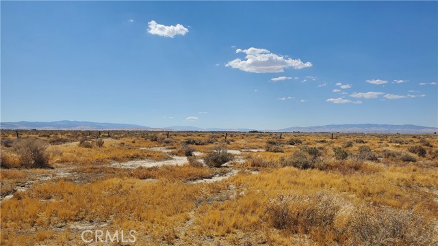 MLS #SR24183361 image #29