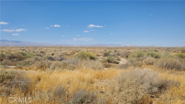 MLS #SR24183361 image #4