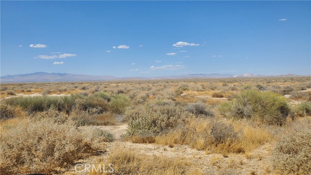 MLS #SR24183361 image #6