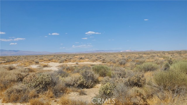 MLS #SR24183361 image #8