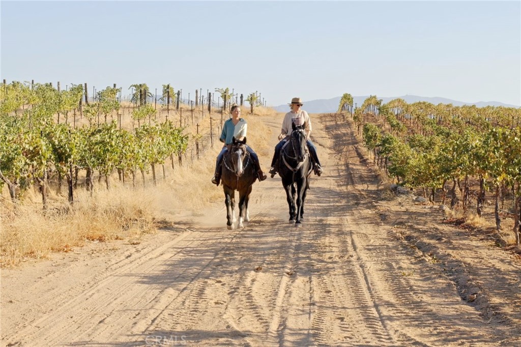 MLS #SR24186564 image #12