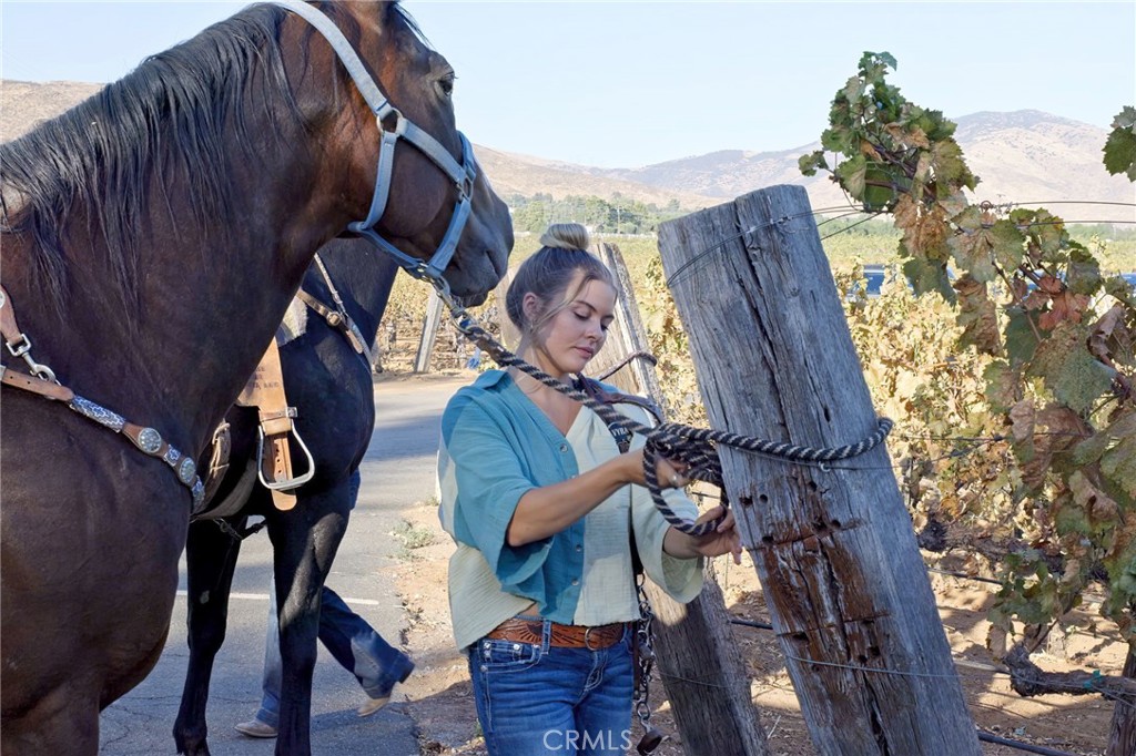 MLS #SR24186564 image #43