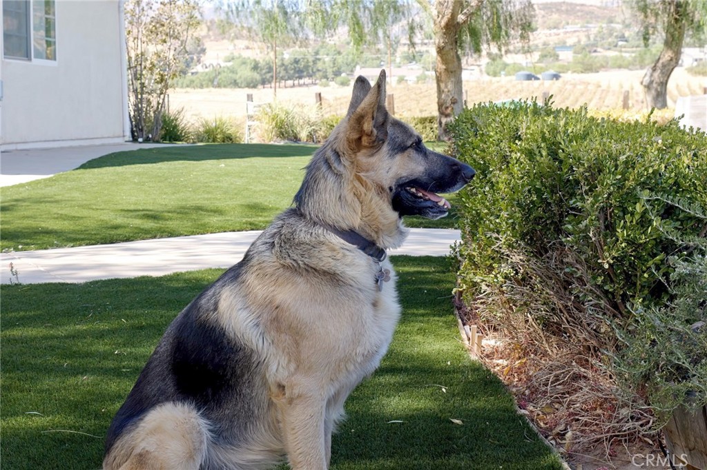 MLS #SR24186564 image #56