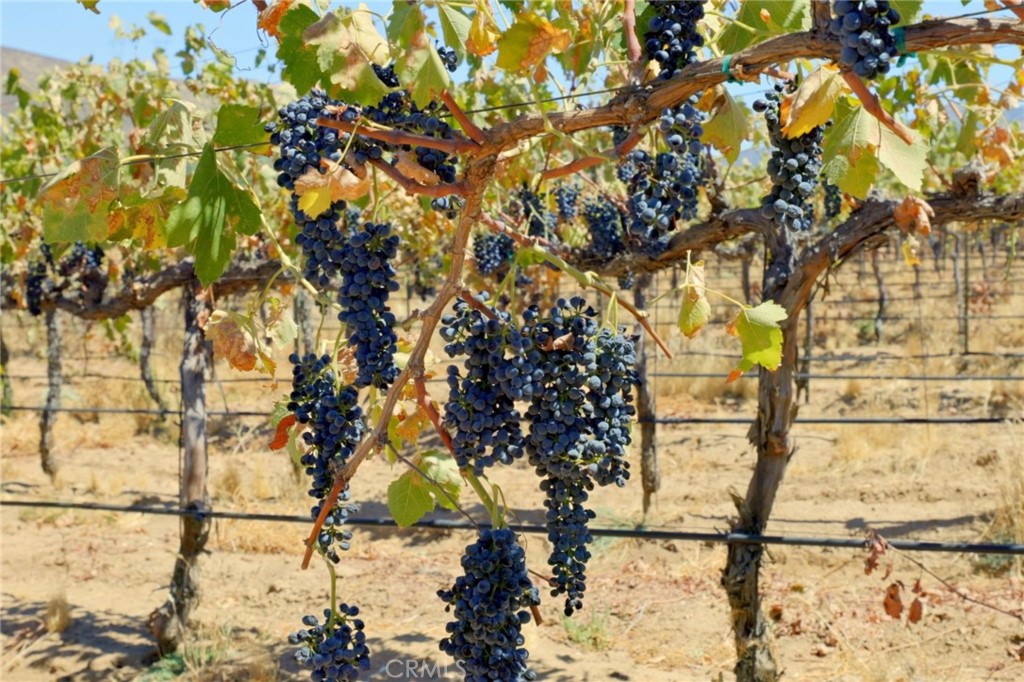 MLS #SR24186564 image #7