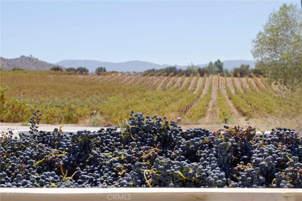 MLS #SR24186564 image #8