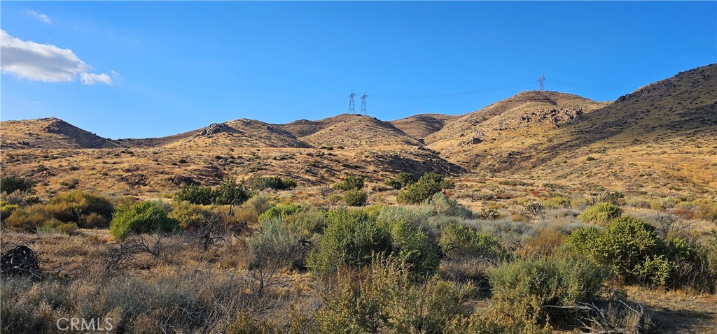 MLS #SR24187022 image #1