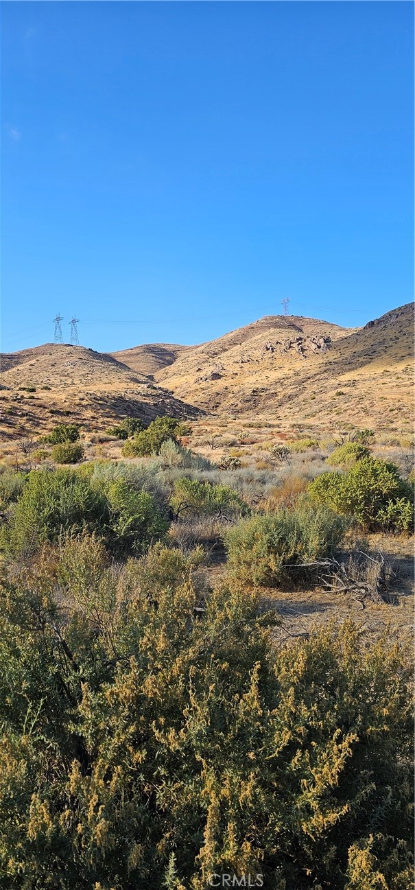 MLS #SR24187022 image #2