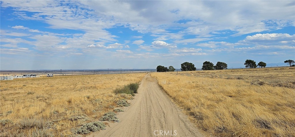 MLS #SR24197023 image #1