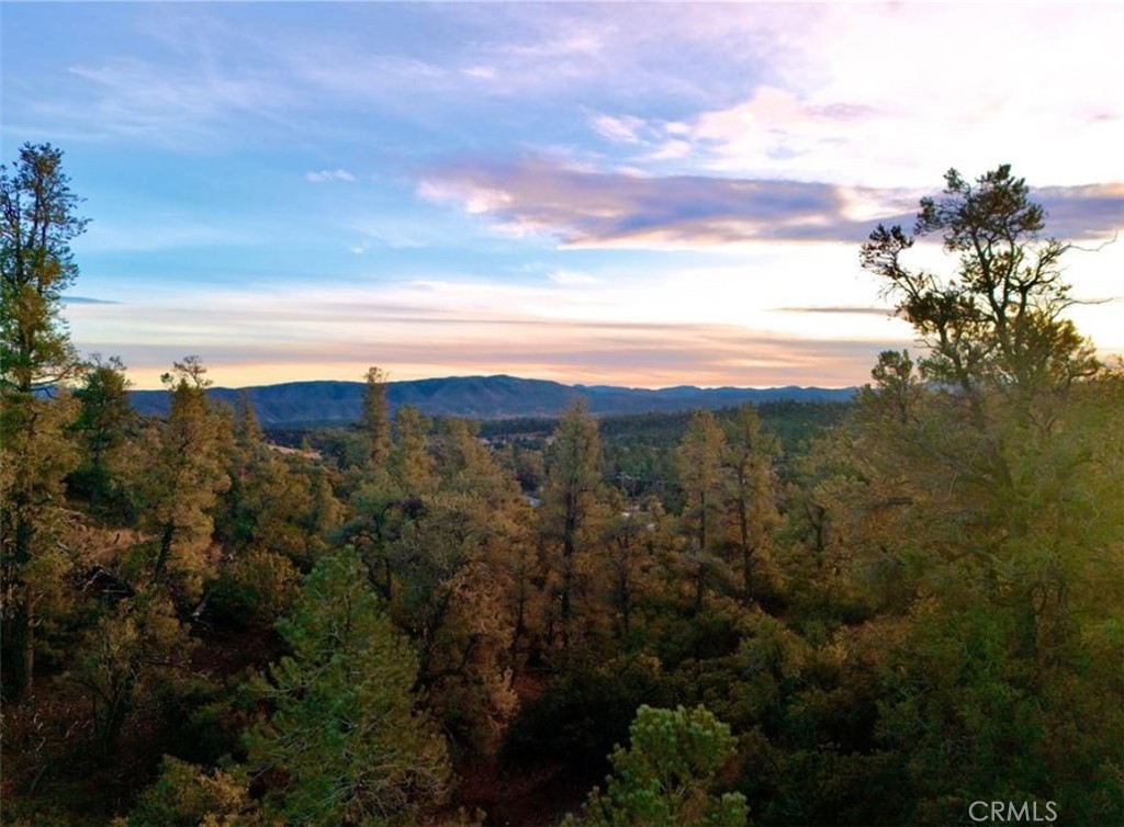 MLS #SR24214894 image #1