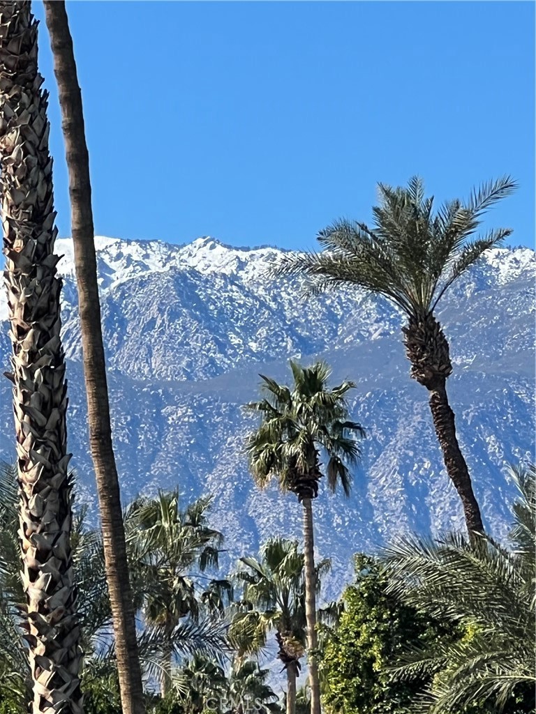 MLS #SR24215868 image #1