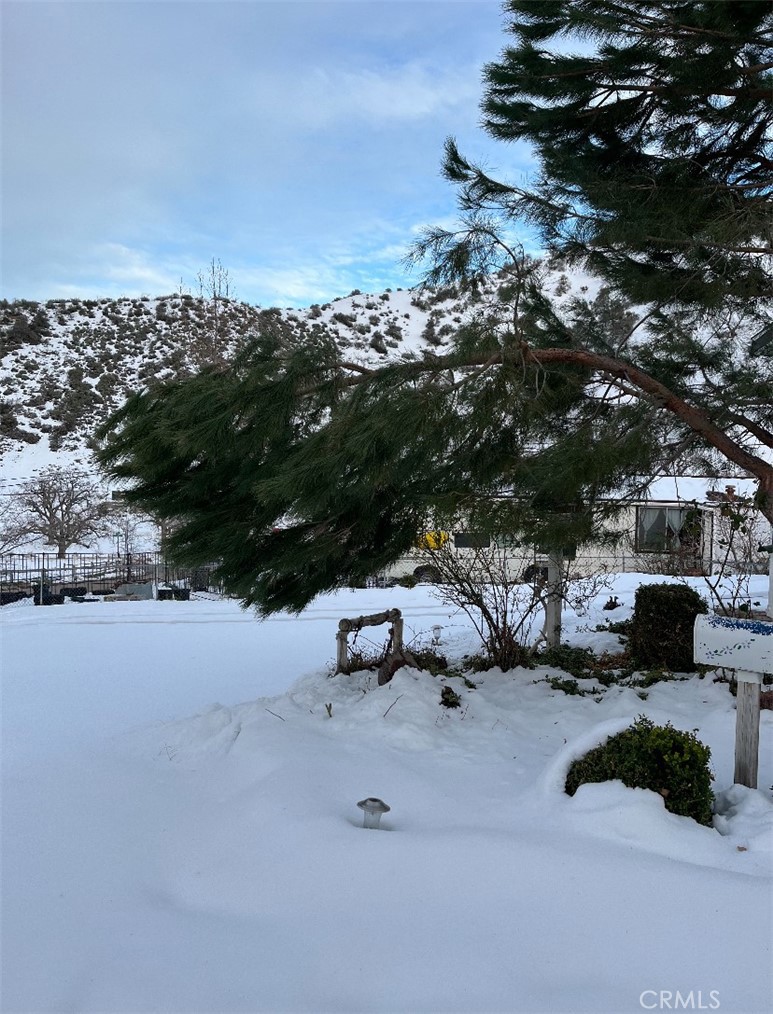 MLS #SR24217386 image #45