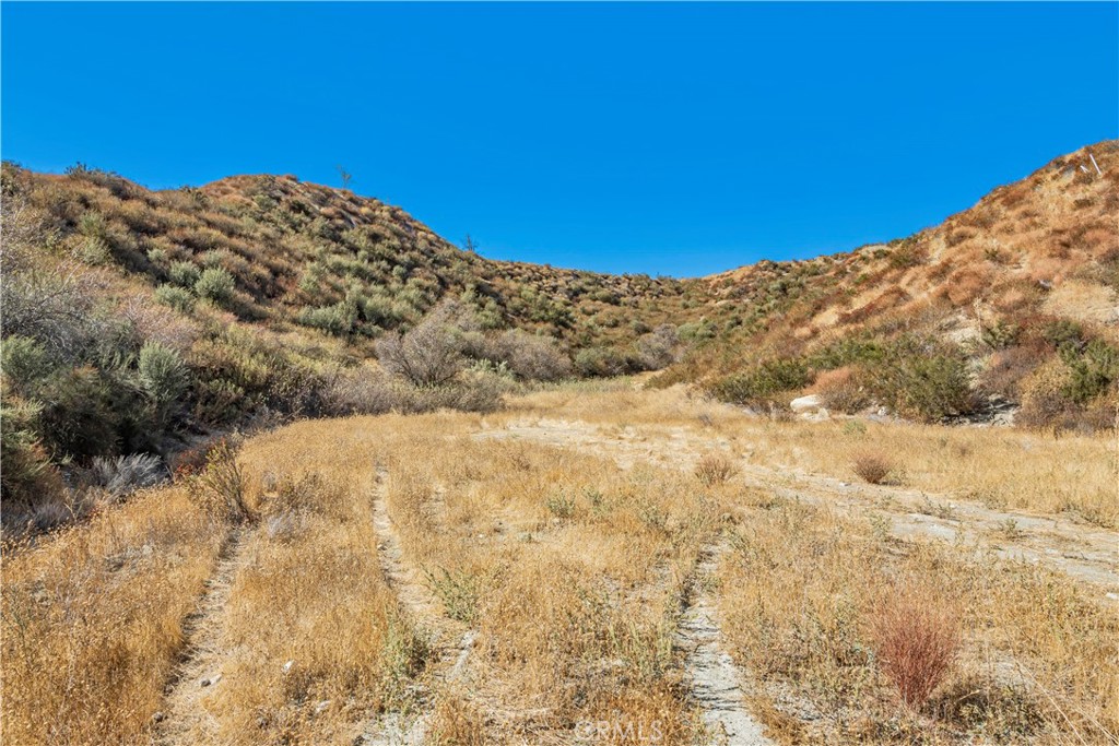 MLS #SR24226127 image #1