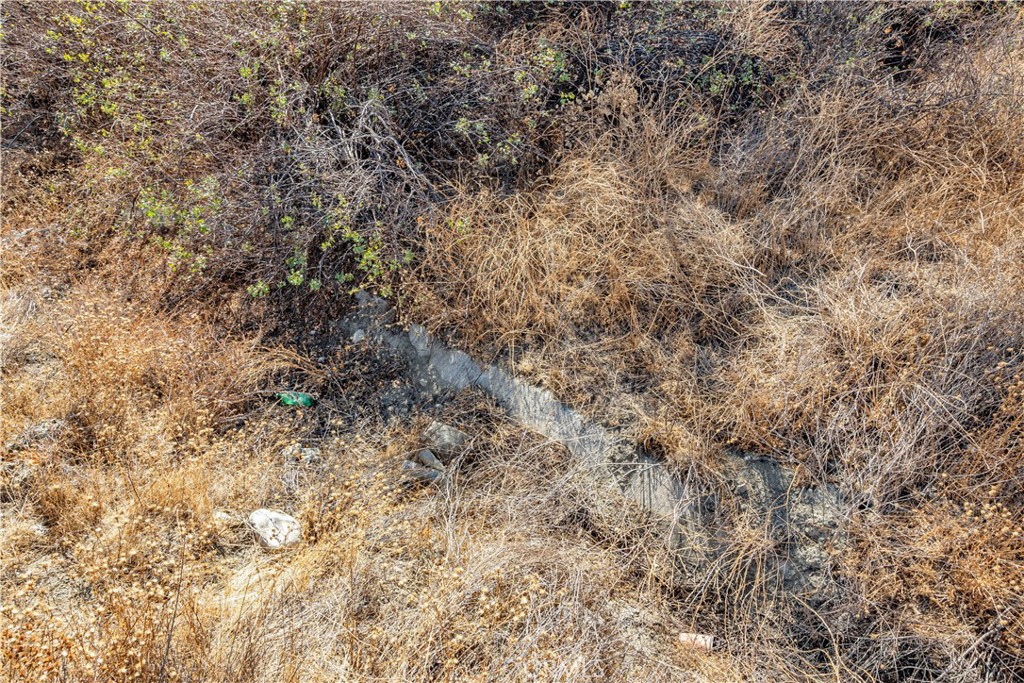 MLS #SR24226127 image #10