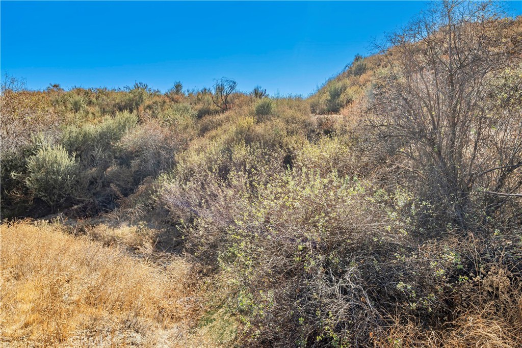 MLS #SR24226127 image #11