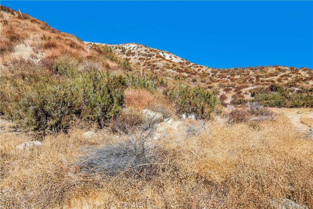 MLS #SR24226127 image #14