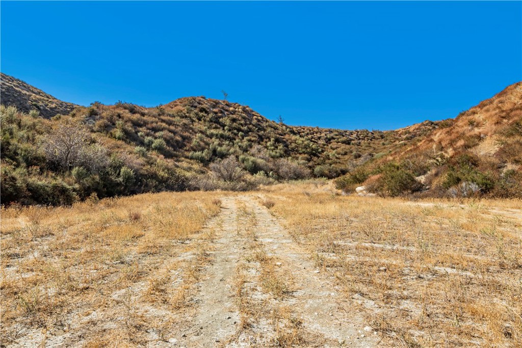 MLS #SR24226127 image #17