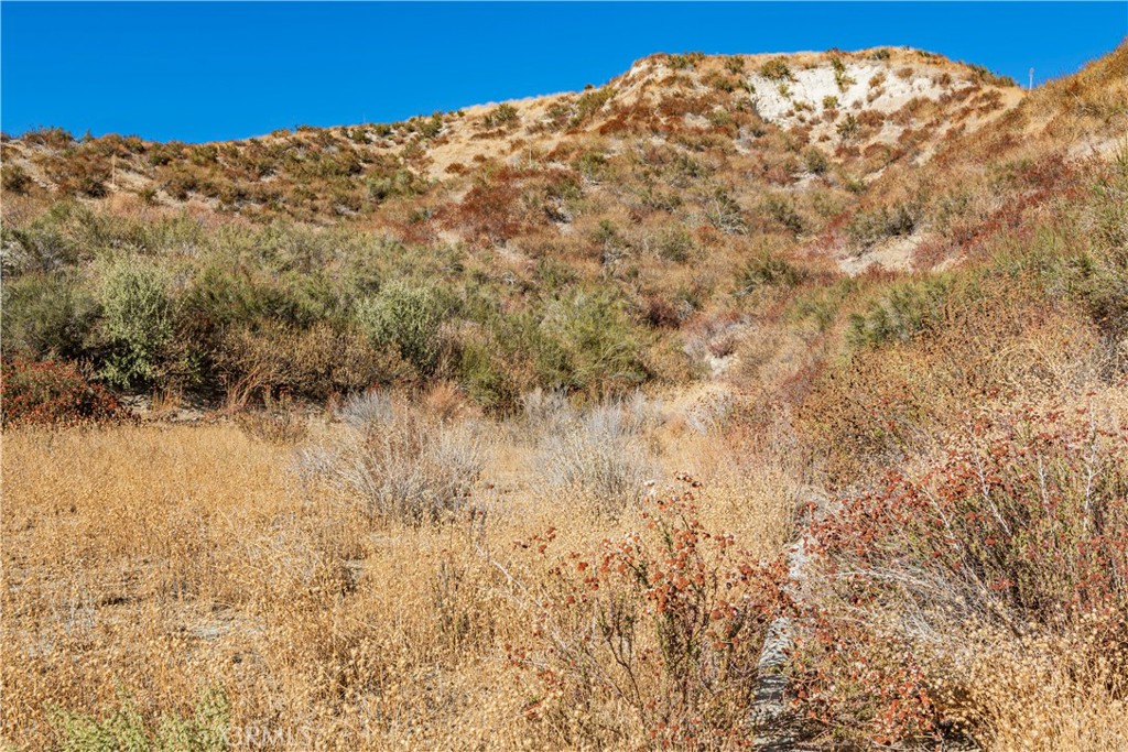 MLS #SR24226127 image #19