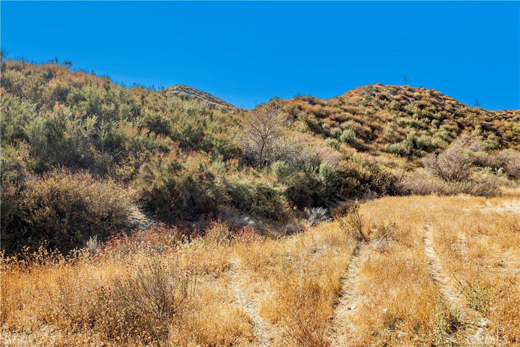 MLS #SR24226127 image #2