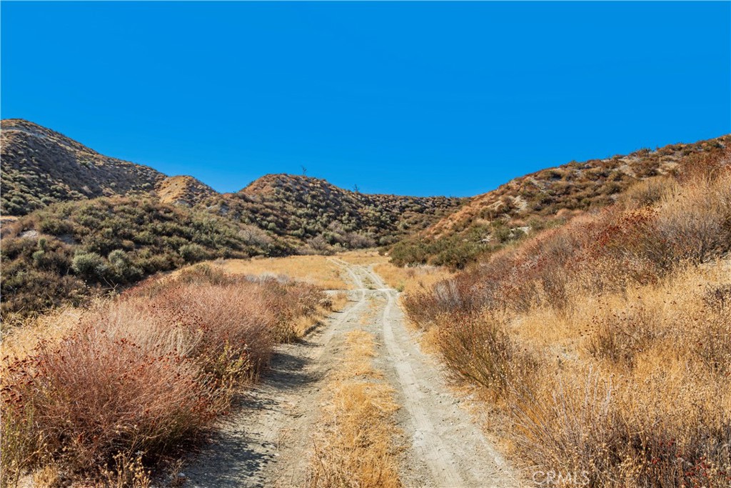 MLS #SR24226127 image #21