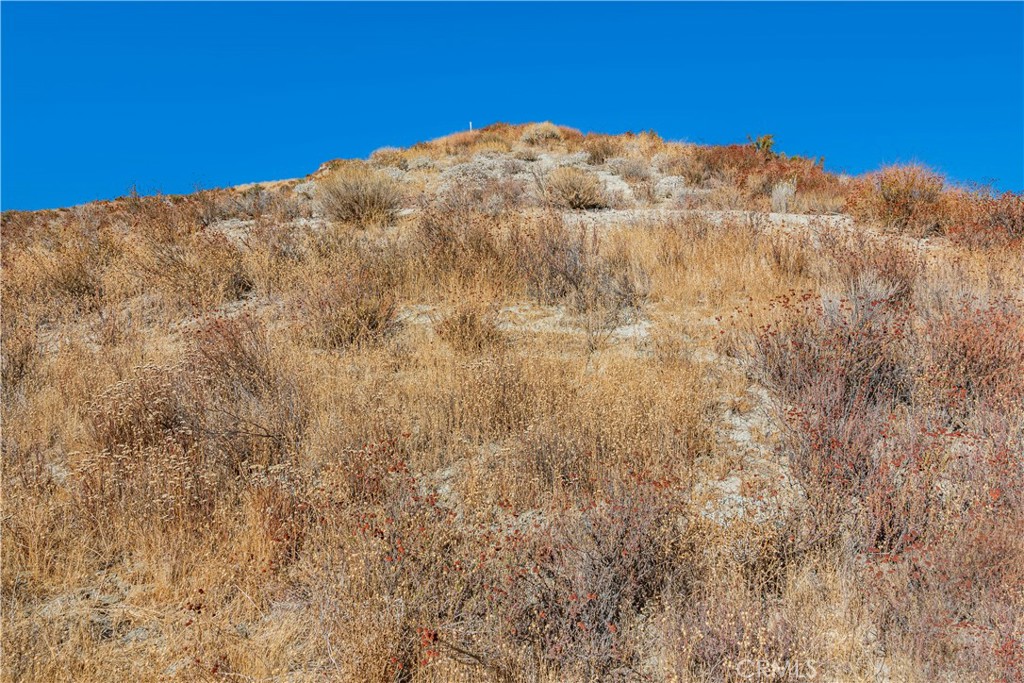 MLS #SR24226127 image #24