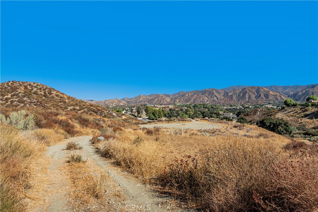 MLS #SR24226127 image #25