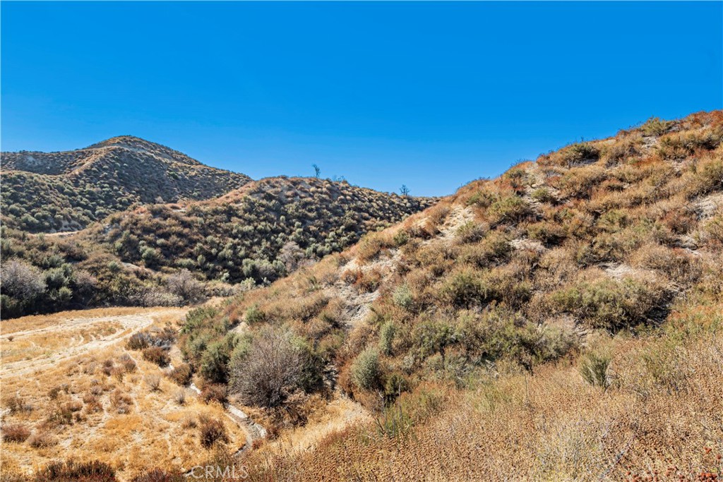 MLS #SR24226127 image #29