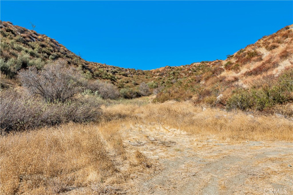 MLS #SR24226127 image #3