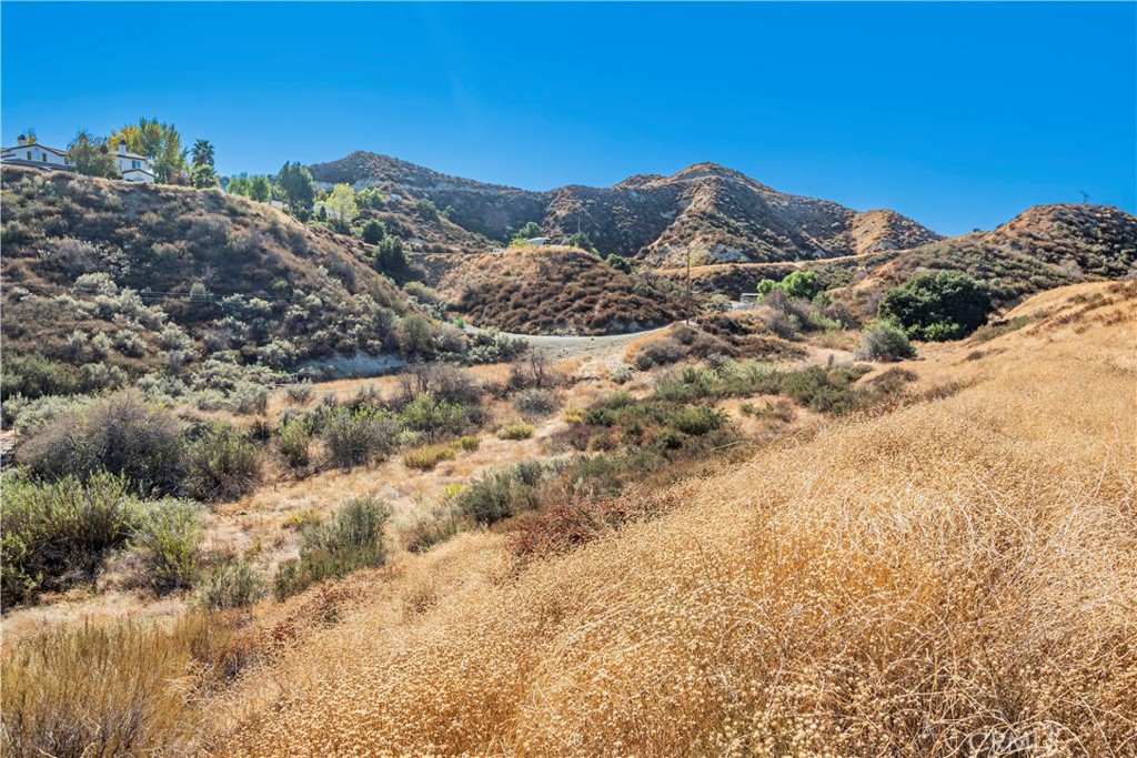 MLS #SR24226127 image #30