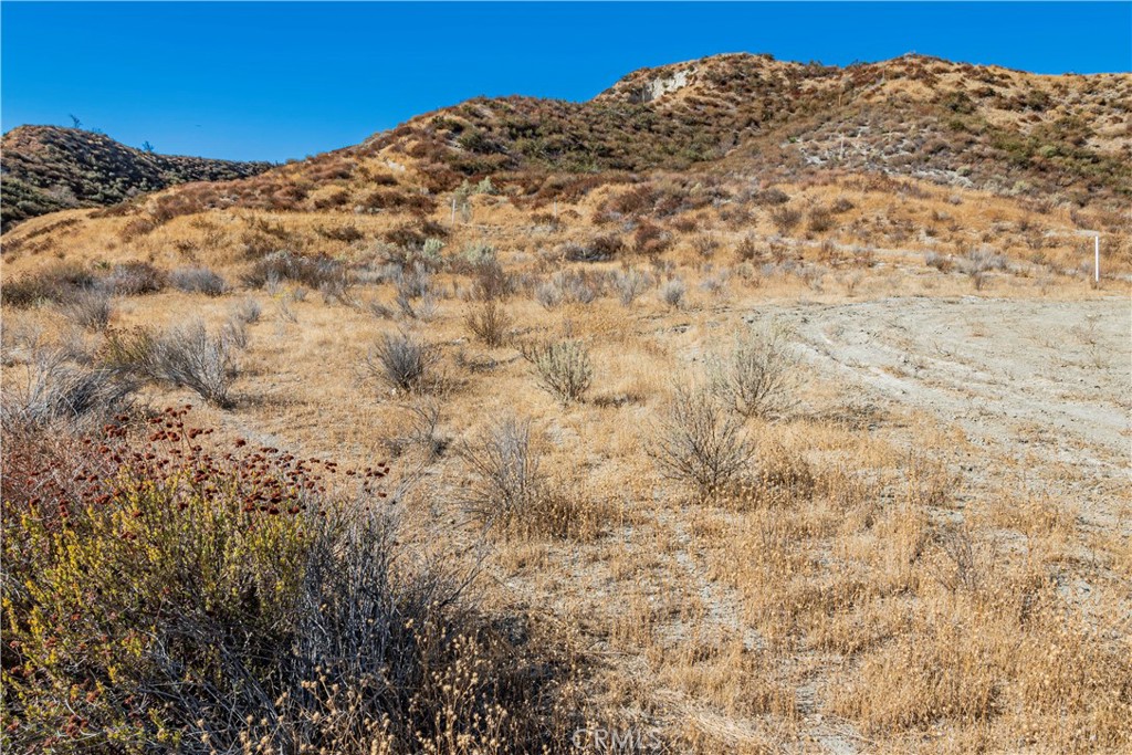 MLS #SR24226127 image #5