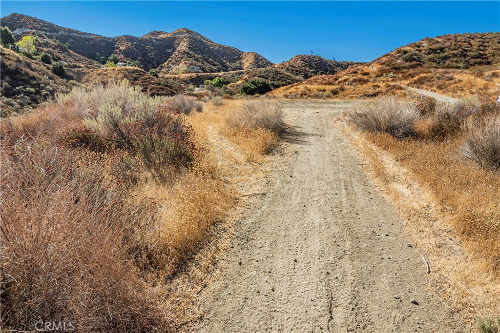 MLS #SR24226127 image #6