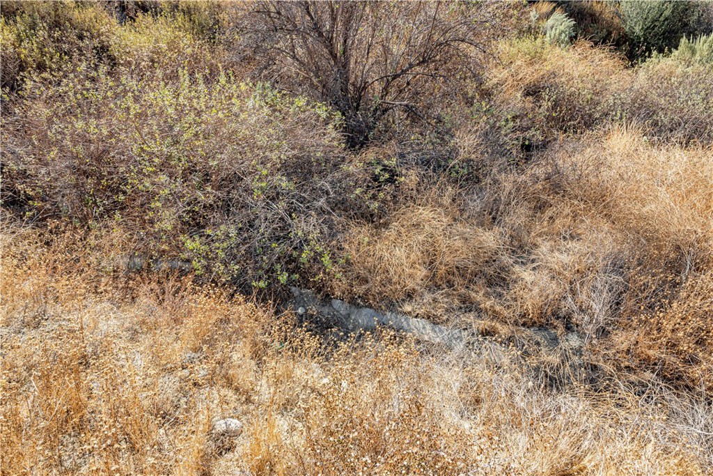 MLS #SR24226127 image #9