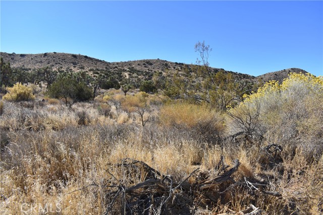 MLS #SR24238319 image #1