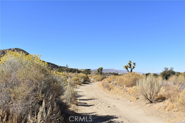 MLS #SR24238319 image #2