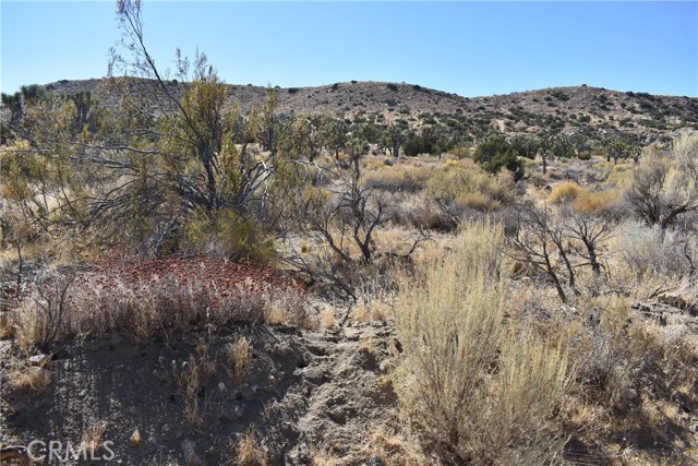 MLS #SR24238319 image #3