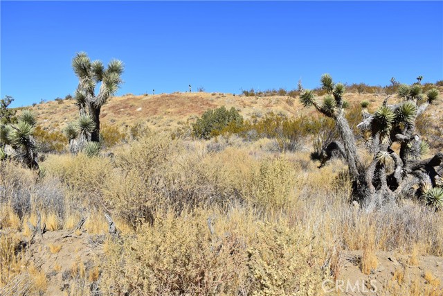 MLS #SR24238319 image #4