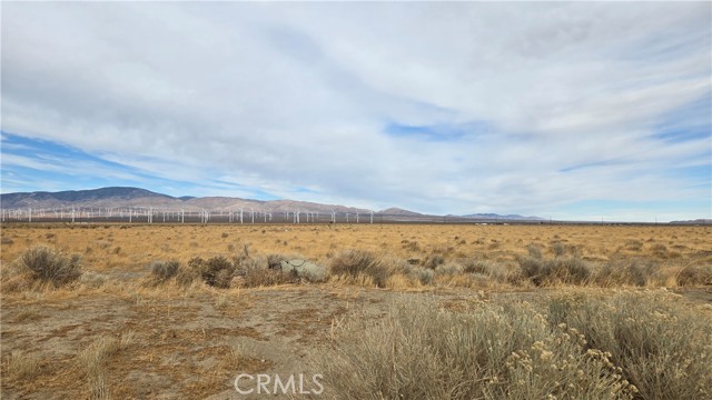 MLS #SR25004253 image #12