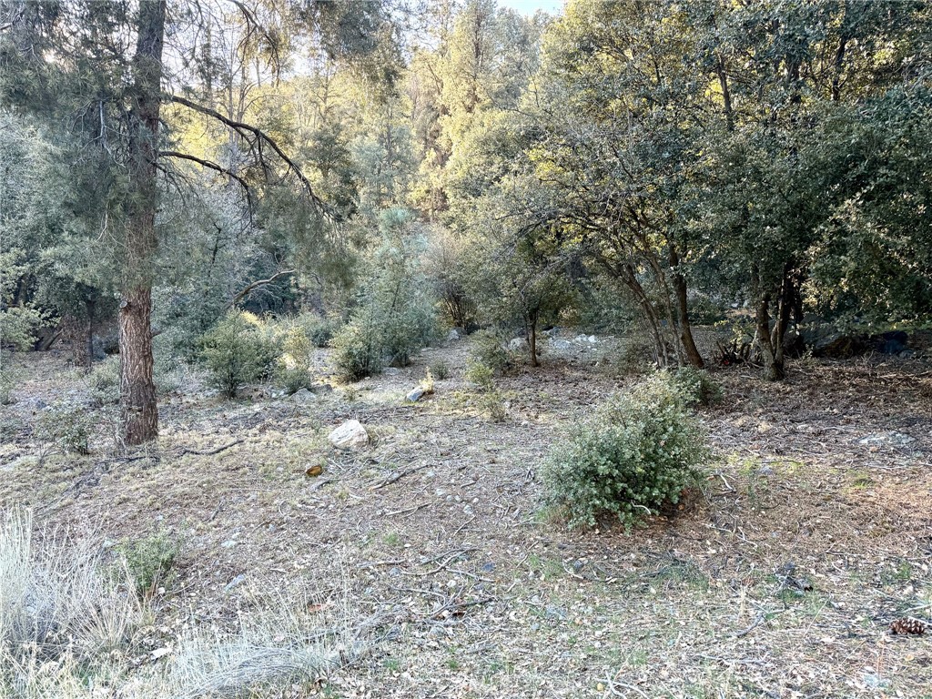 MLS #SR25008236 image #0