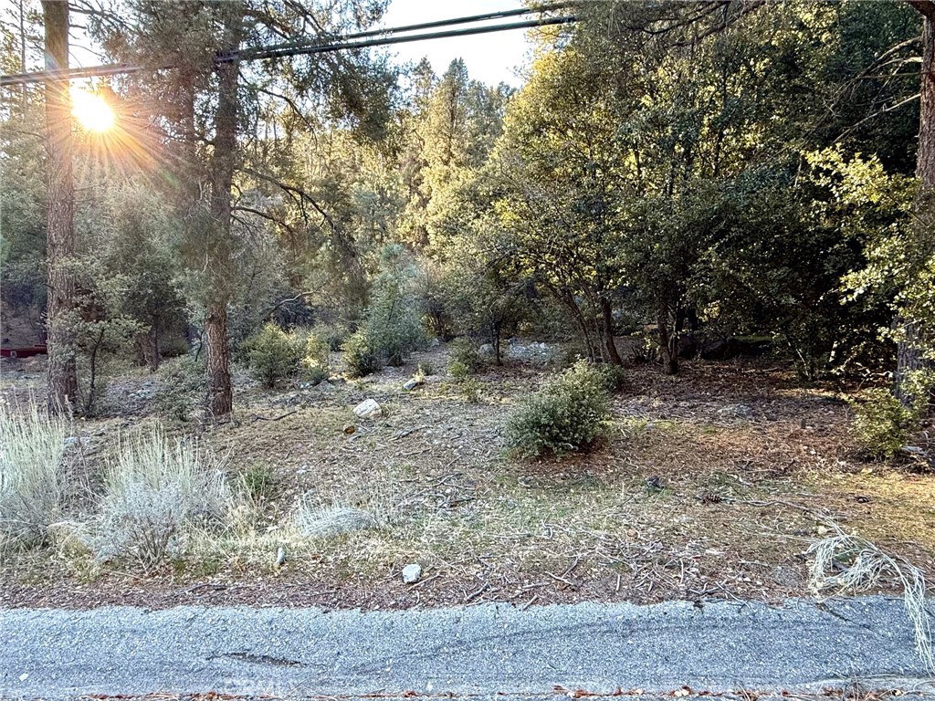 MLS #SR25008236 image #1