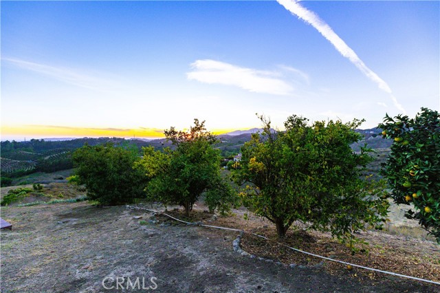 MLS #SR25010905 image #53