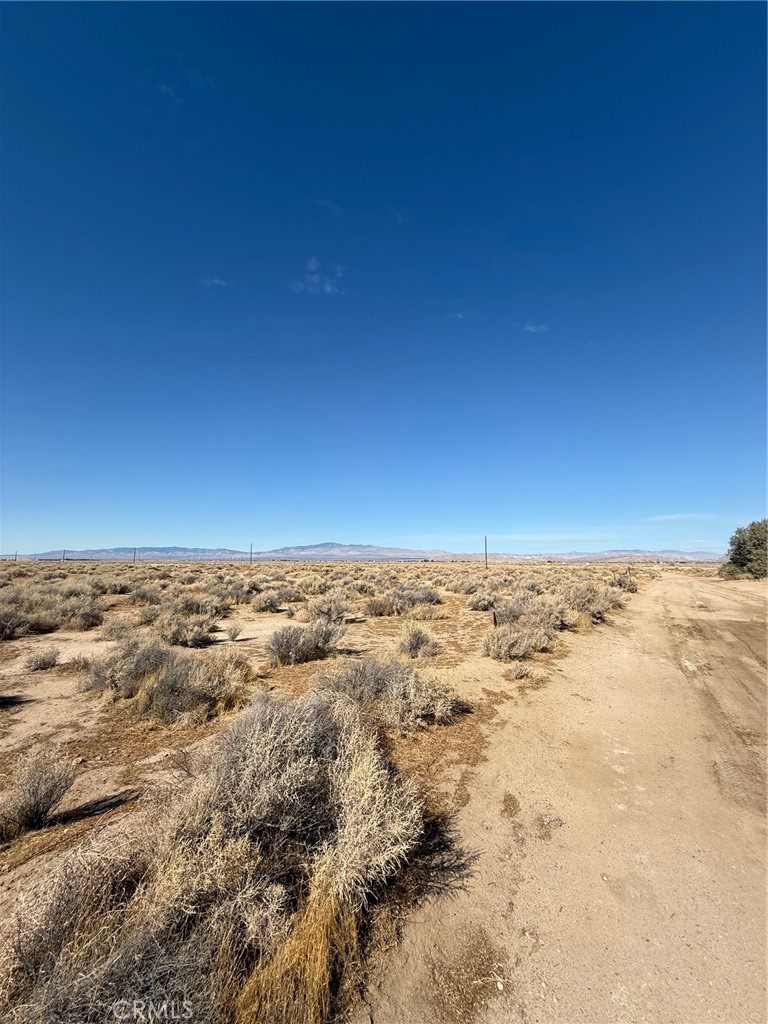 MLS #SR25018454 image #4